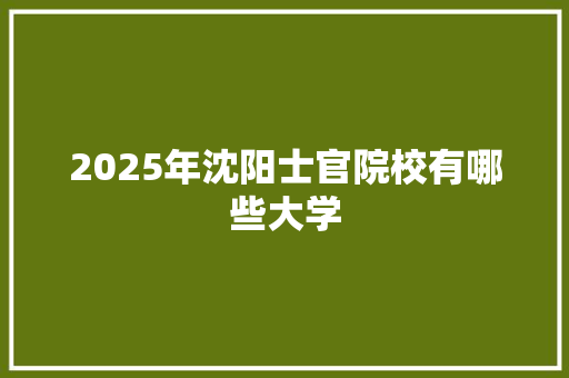 2025年沈阳士官院校有哪些大学