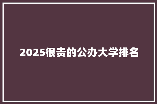 2025很贵的公办大学排名 个人简历