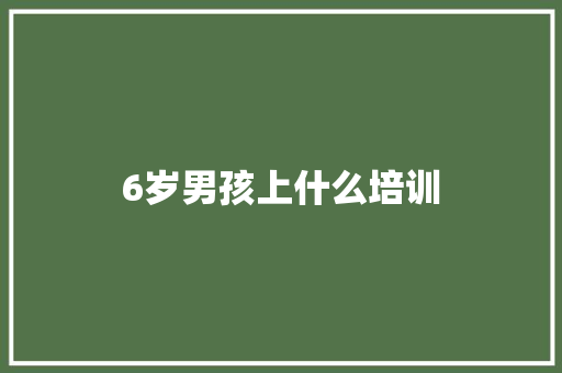 6岁男孩上什么培训