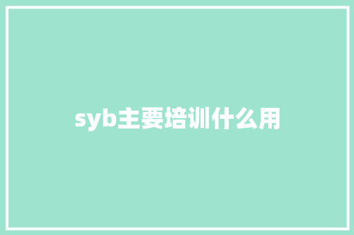syb主要培训什么用
