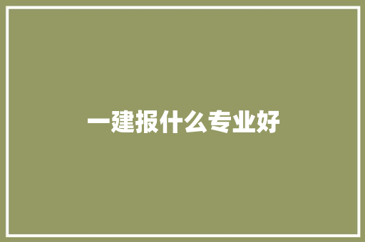 一建报什么专业好