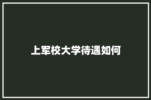 上军校大学待遇如何