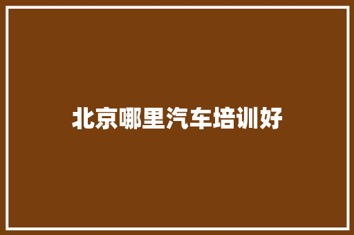 北京哪里汽车培训好