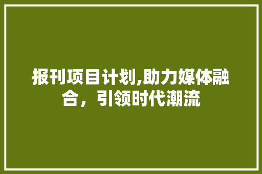 报刊项目计划,助力媒体融合，引领时代潮流