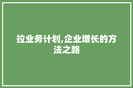 拉业务计划,企业增长的方法之路