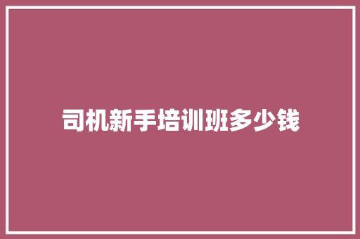 司机新手培训班多少钱