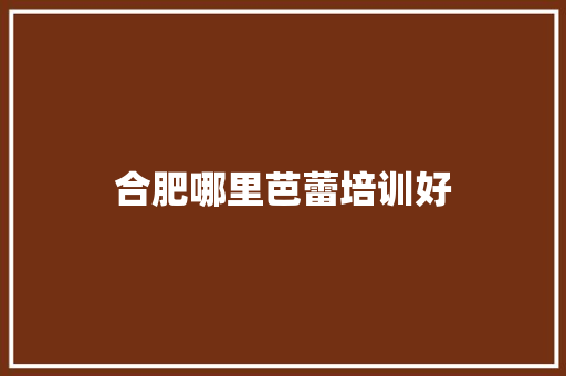 合肥哪里芭蕾培训好