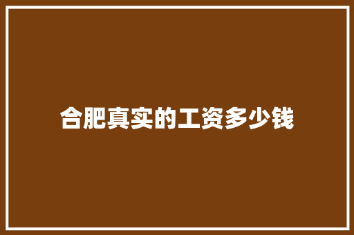 合肥真实的工资多少钱