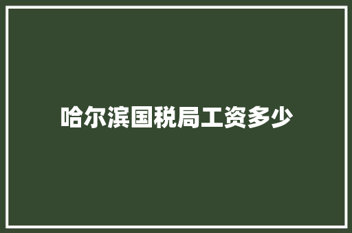 哈尔滨国税局工资多少