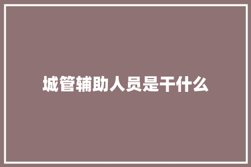 城管辅助人员是干什么 个人简历