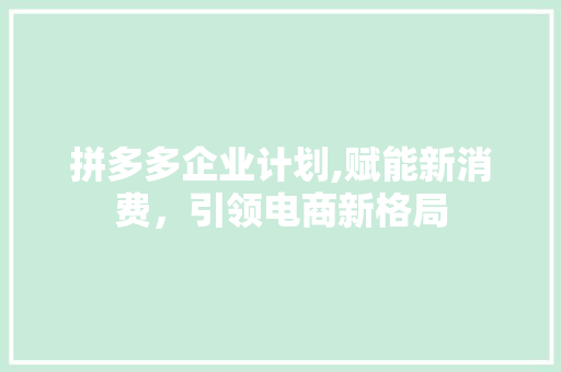 拼多多企业计划,赋能新消费，引领电商新格局