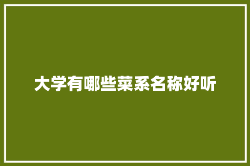 大学有哪些菜系名称好听
