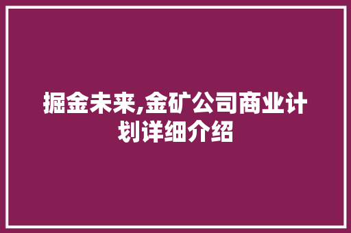 掘金未来,金矿公司商业计划详细介绍