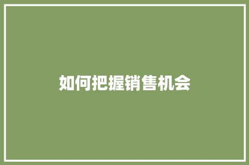 如何把握销售机会