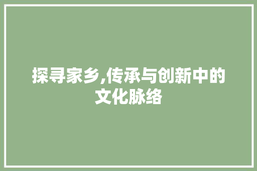 探寻家乡,传承与创新中的文化脉络