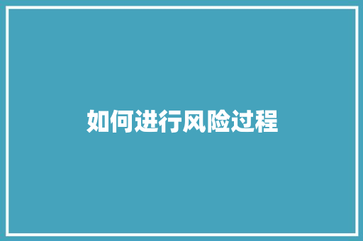 如何进行风险过程