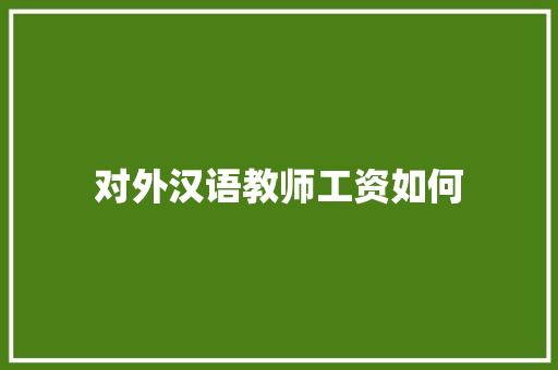 对外汉语教师工资如何