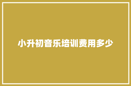 小升初音乐培训费用多少