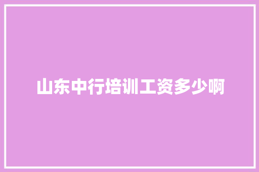 山东中行培训工资多少啊