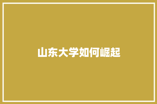 山东大学如何崛起