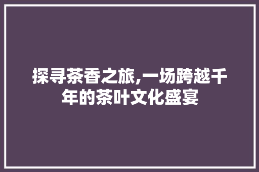 探寻茶香之旅,一场跨越千年的茶叶文化盛宴
