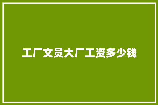 工厂文员大厂工资多少钱