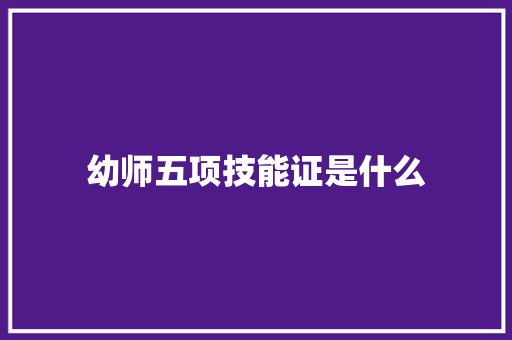 幼师五项技能证是什么