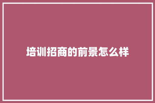培训招商的前景怎么样