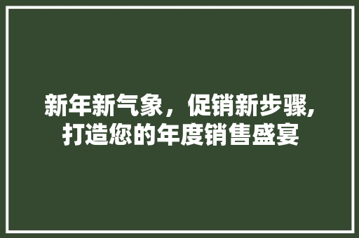 新年新气象，促销新步骤,打造您的年度销售盛宴