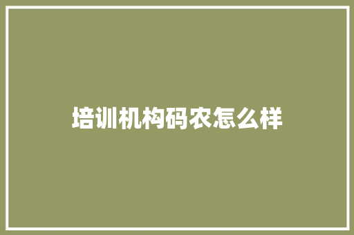 培训机构码农怎么样