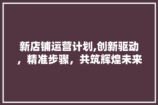 新店铺运营计划,创新驱动，精准步骤，共筑辉煌未来