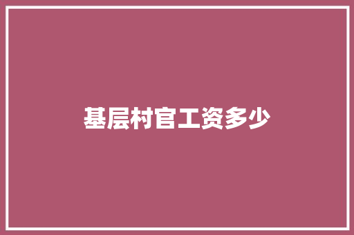 基层村官工资多少