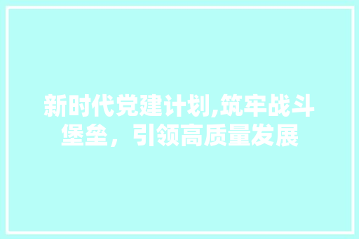 新时代党建计划,筑牢战斗堡垒，引领高质量发展