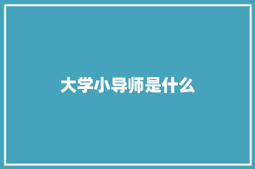 大学小导师是什么
