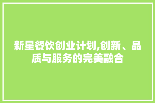 新星餐饮创业计划,创新、品质与服务的完美融合