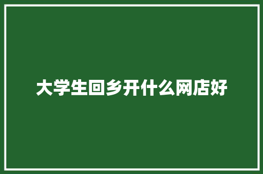 大学生回乡开什么网店好