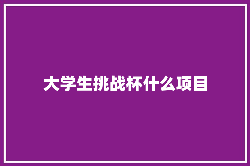 大学生挑战杯什么项目