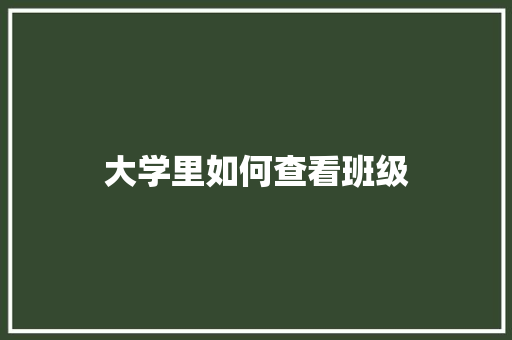 大学里如何查看班级