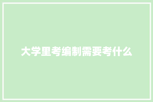 大学里考编制需要考什么