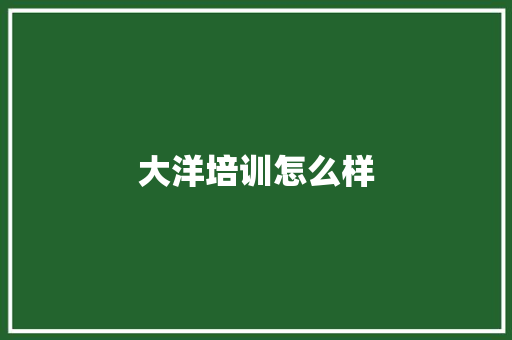大洋培训怎么样