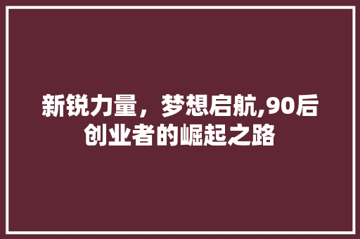 新锐力量，梦想启航,90后创业者的崛起之路