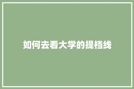 如何去看大学的提档线 工作总结