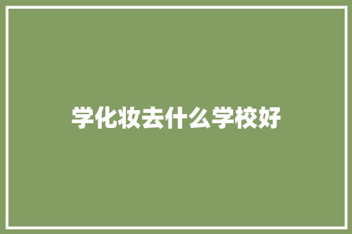 学化妆去什么学校好