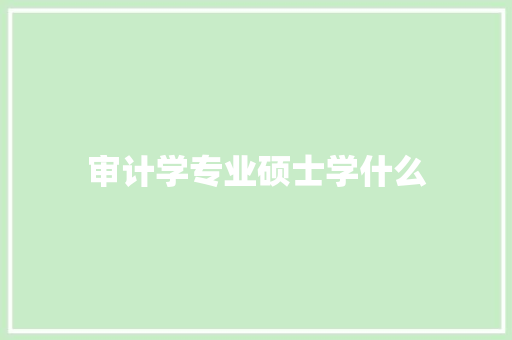 审计学专业硕士学什么