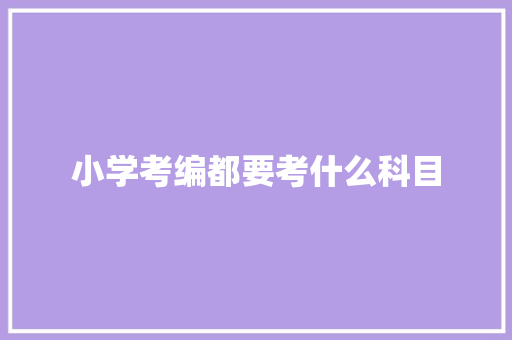 小学考编都要考什么科目