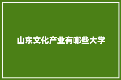 山东文化产业有哪些大学