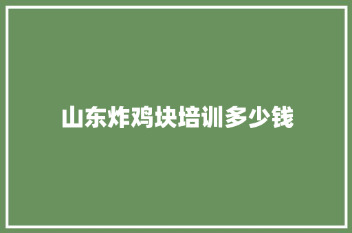 山东炸鸡块培训多少钱
