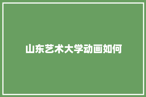 山东艺术大学动画如何