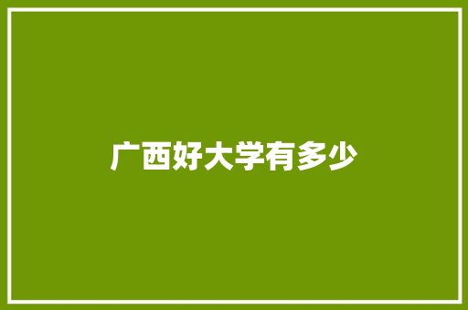 广西好大学有多少