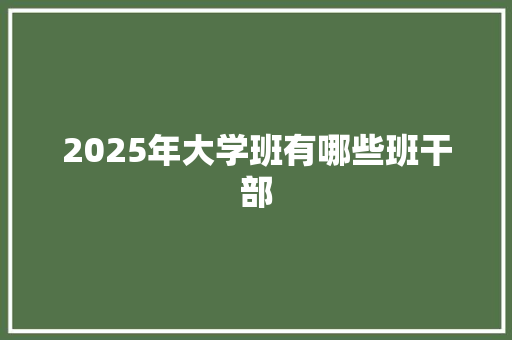 2025年大学班有哪些班干部